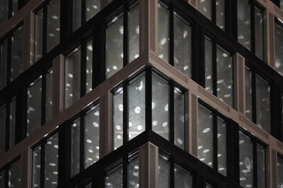 LNdA_Reflections-www-preview